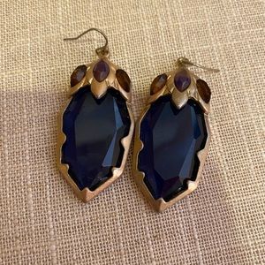 Gorgeous Blue/Gold Brown Earrings